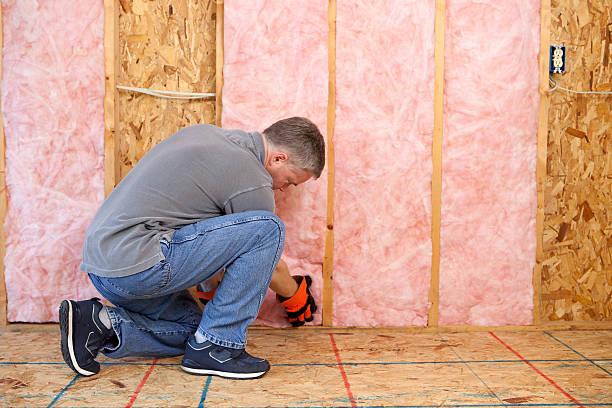 Best Basement Insulation  in Scobey, MT